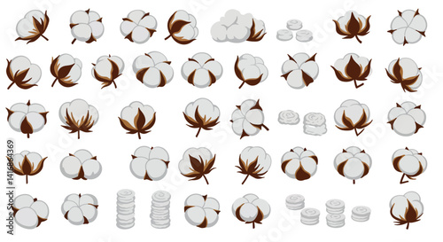 Various cotton bolls and cotton fiber clusters in detailed flat style isolated on white background vector illustration