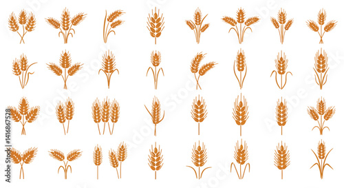 Collection of diverse wheat ear designs in flat style showcasing detailed golden stalks and grains, emphasizing agricultural abundance and natural growth vector illustration