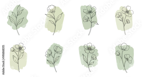 Minimalistic green leaves with delicate black line details on soft pastel backgrounds flat botanical vector illustration