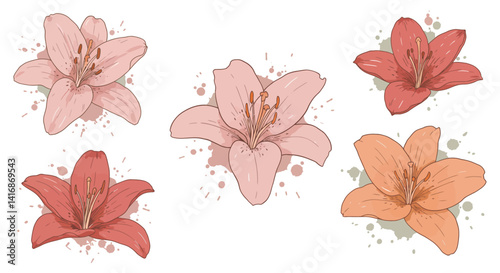 Colorful lily flowers in soft pastel tones with detailed petals and stamens flat design vector illustration