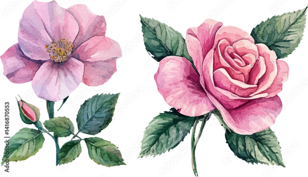 Fototapeta premium Watercolor pink rose flower and leaf bouquet clipart collection