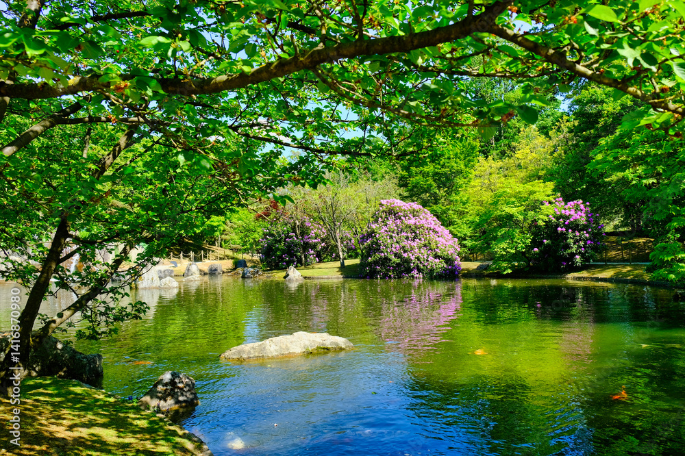 Obraz premium pond in the park