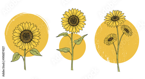 Three detailed sunflowers with leaves against yellow circular textured backgrounds in flat botanical vector art