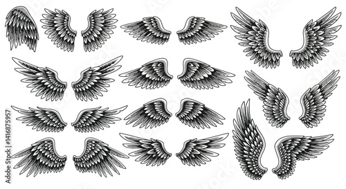 Detailed black and white angel wings collection in various shapes and positions with feather texture and shading vector art