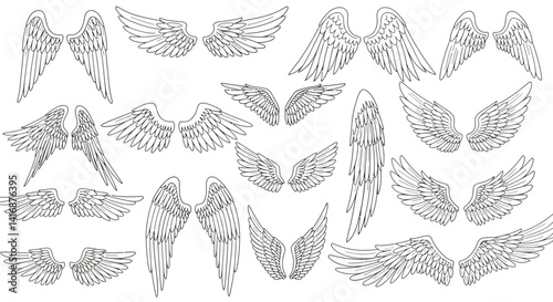 Detailed hand-drawn bird wing designs in various poses with feather textures in black and white line style vector illustration