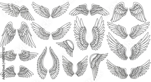 Detailed hand-drawn stylized bird wings collection with feather textures in black and white vintage flat design vector illustration