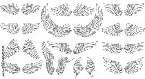 Detailed black and white feathered angel wings in various open and closed styles hand drawn vector illustration