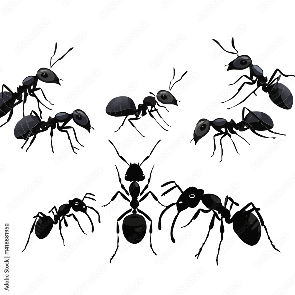 black ant isolated on white vector silhouette graphic design