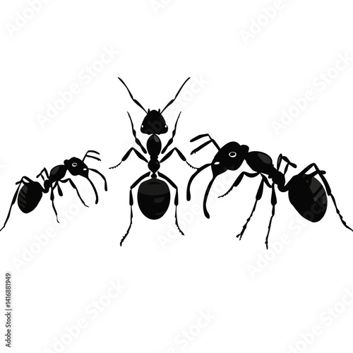 black ant isolated on white vector silhouette graphic design
