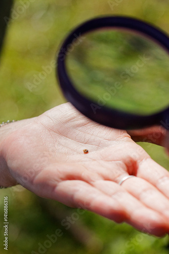 escargot