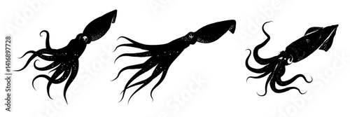 Obraz na płótnie set of squid silhouettes – vector illustration. w salonie