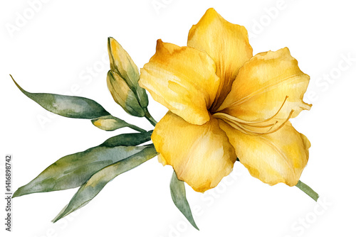 Wallpaper Mural Watercolor Yellow Lily Flower with Green Leaves on Transparent Background Torontodigital.ca