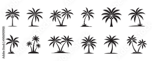 Elegant palm Trees silhouette set, Summer designs, Beach themes, Tropical illustrations, and Creative graphic project, Vector illustration