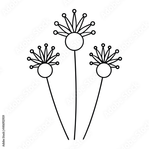 Pincushion flower line art vector on white background 