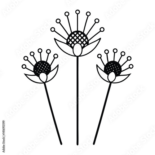 Pincushion flower line art vector on white background 