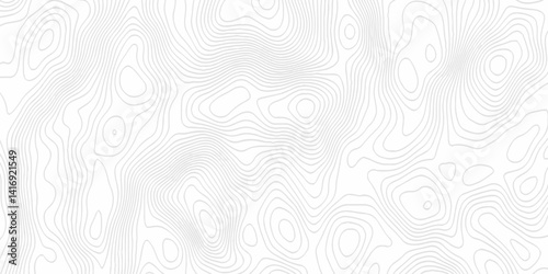 White topography topology vector white background fresh contour map texture. white seamless pattern Abstract background with a wave Topography and geography map grid abstract backdrop.