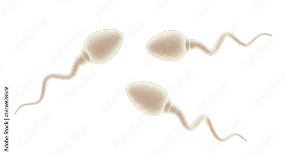 Naklejka premium Isolated Group of Sperm Cells Representing Fertility and Reproduction