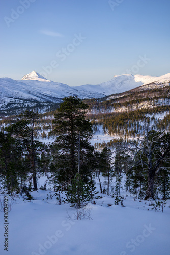 Ånderdalen Nasjonalpark view henriksauet mount, norway photo