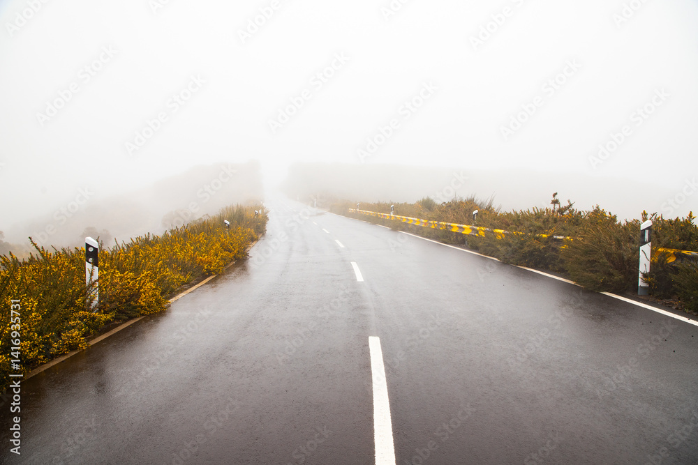road on a foggy rainy day