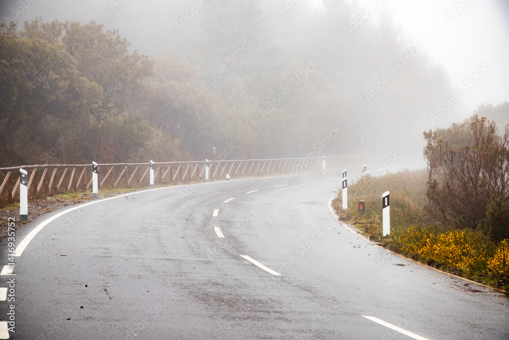 road on a foggy rainy day