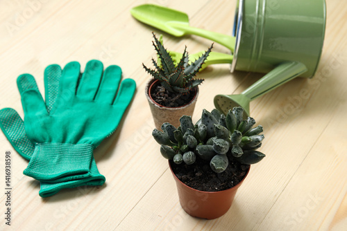 Gardening tools with succul...
