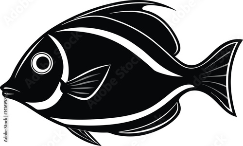 Achilles Tang fish Red-tailed Surgeon Blue Surgeonfish black and white fish isolated on white background