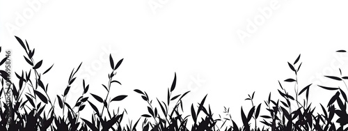 A black silhouette of tall grass with leaves against a white background