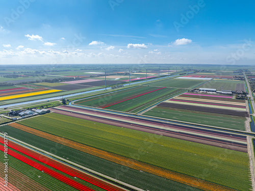 Obraz na płótnie Holland Tulpen w salonie