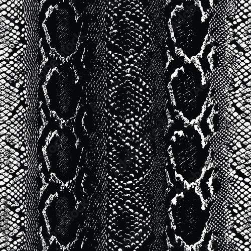 Black and White Python Scales Seamless Pattern