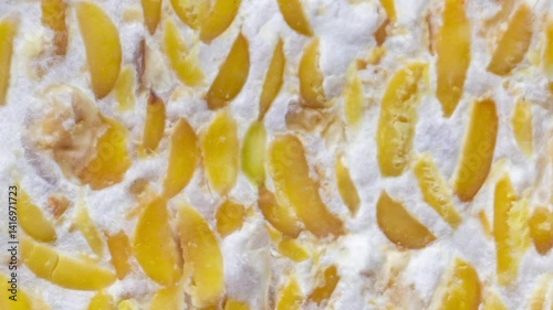 Close-Up of Fermented Tempeh with Soybean Texture Detail