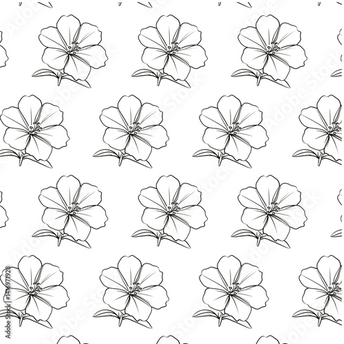 Four O'Clock or Mirabilis jalapa tropical flower Seamless Pattern Background. Black and White Flower isolated in white. Hand drawn vector sketch Outline illustration Line Art