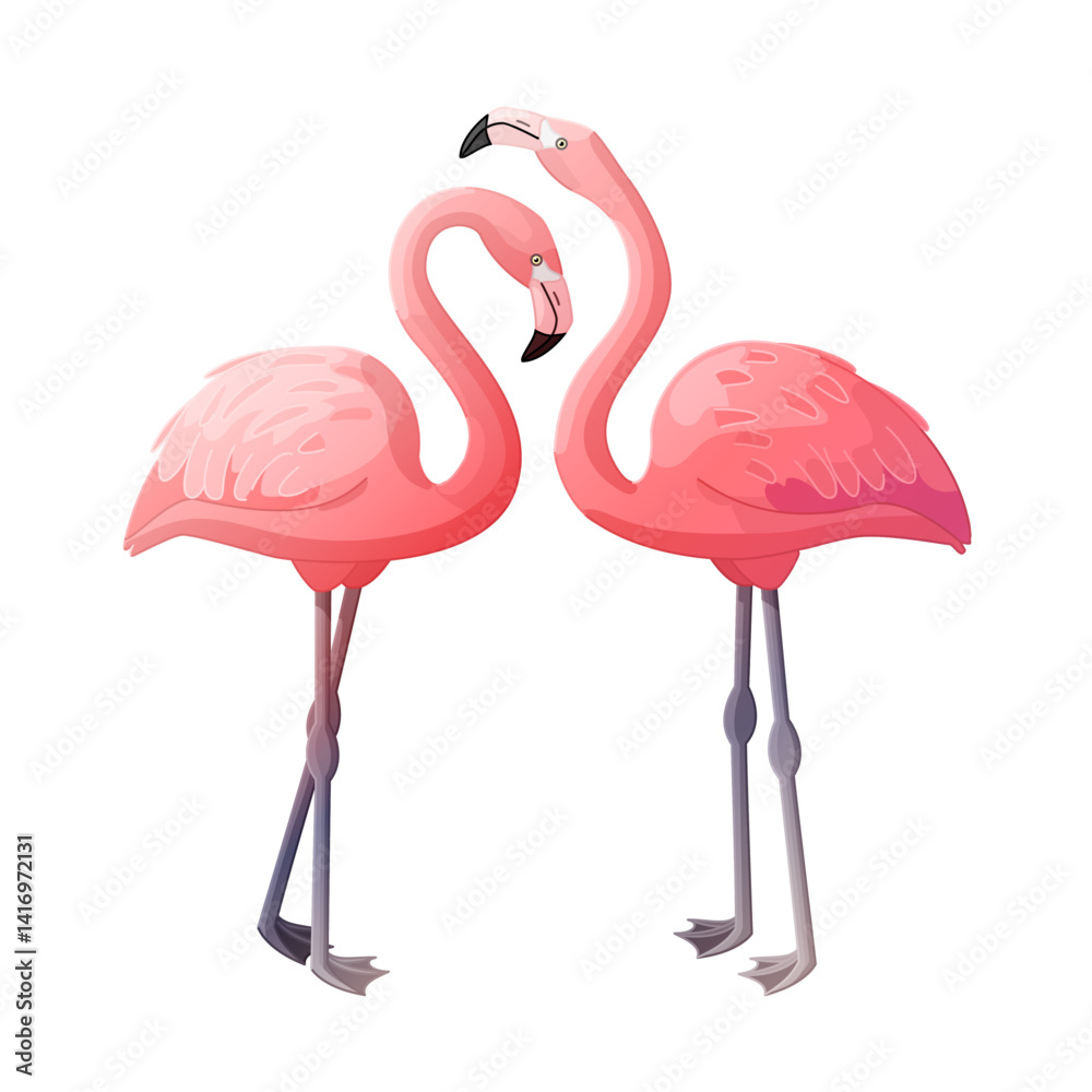 Obraz premium vector pink flamingo birds animal clip art isolated on transparent background. Hand drown design element. 