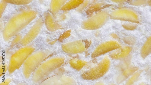 Close-Up of Fermented Tempeh with Soybean Texture Detail