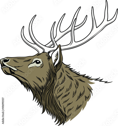 An elk head with horns