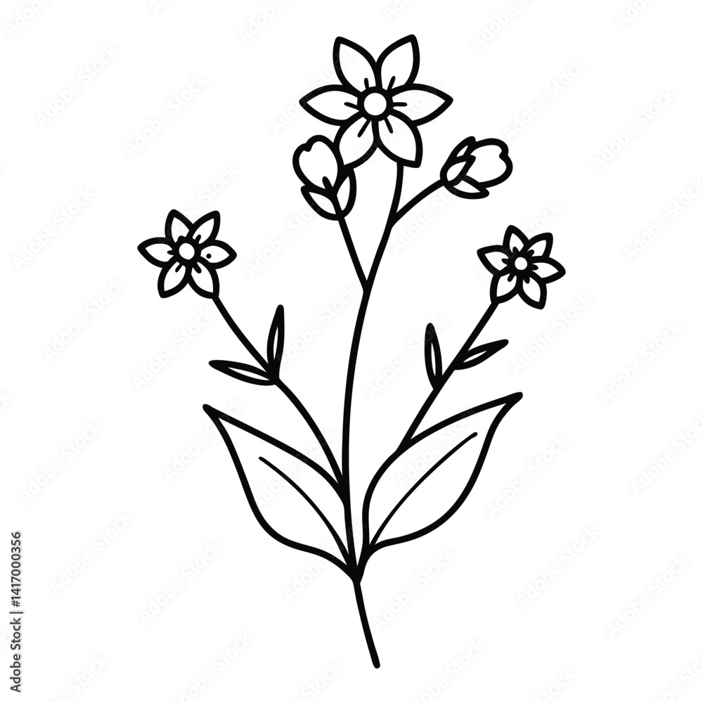 Siberian bugloss flower line art vector on white background Siberian bugloss flower line art vector on white background