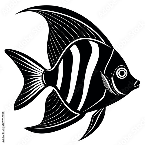 Angel fish. 