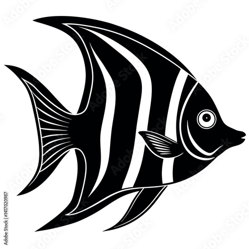 Angel fish. 