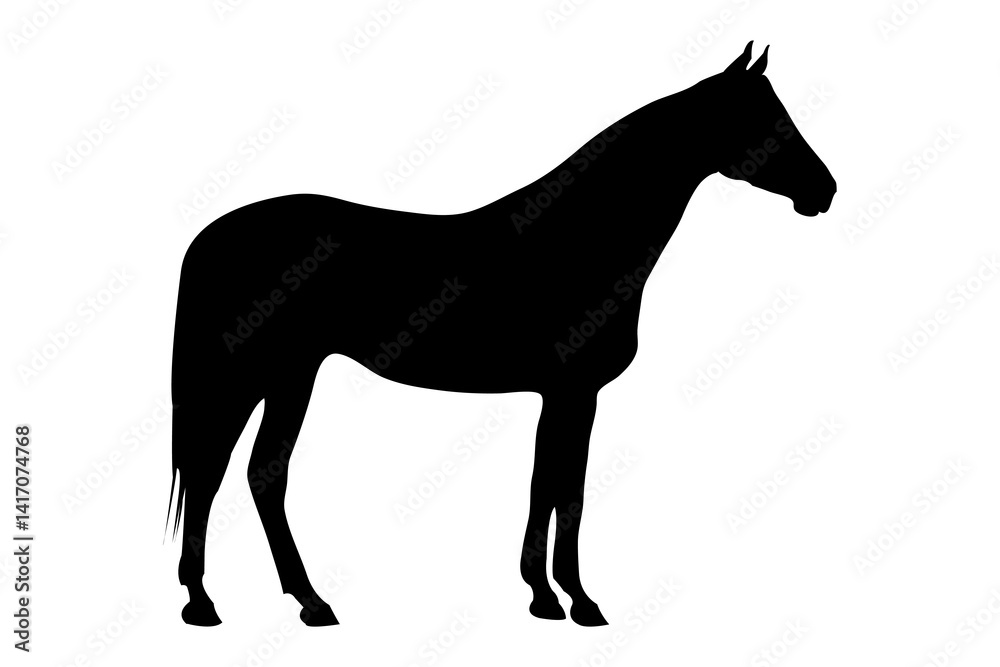 Standing Horse Silhouette Vector Isolated on White Standing Horse Silhouette Vector Isolated on White