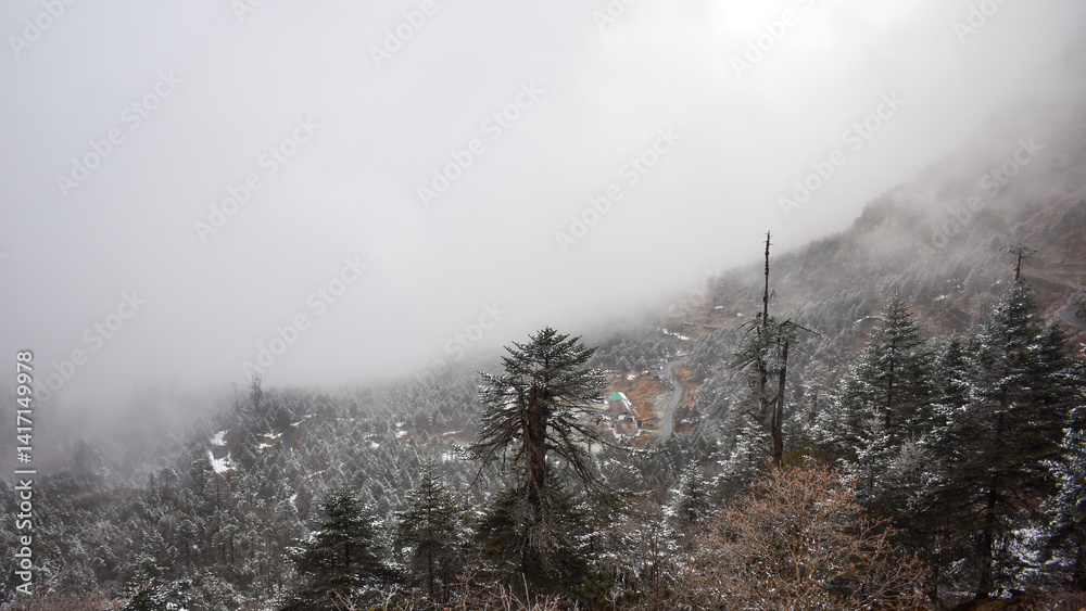 Φωτογραφία Beautiful view on the way to Zero point at Lachung, Yumthang valley North Sikkim