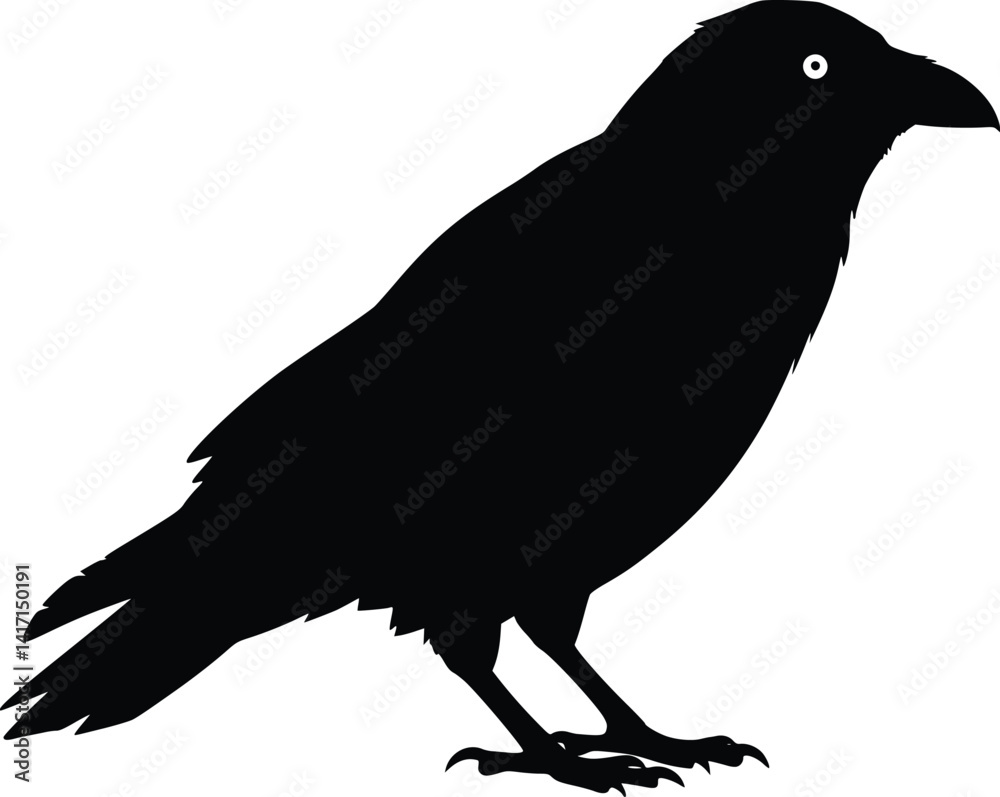 Obraz premium Silhouette of a raven in side profile, with visible beak, tail, and eye, symbolizing intelligence