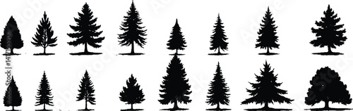Set of tree silhouettes in various shapes and types, isolated on white background vector illustration design.


