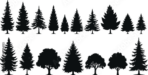 Set of tree silhouettes in various shapes and types, isolated on white background, vector illustration design.