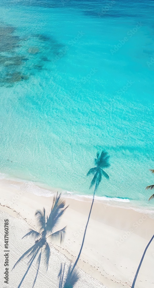 A magnificent tropical beach with white sand, turquoise ocean surf and palm tree shade. Summer beach holiday concept.