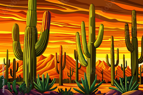 Saguaro National Park East at sunset time, Tucson, Arizona amazing sky and Group of Tall Saguaro Cactus Plants
