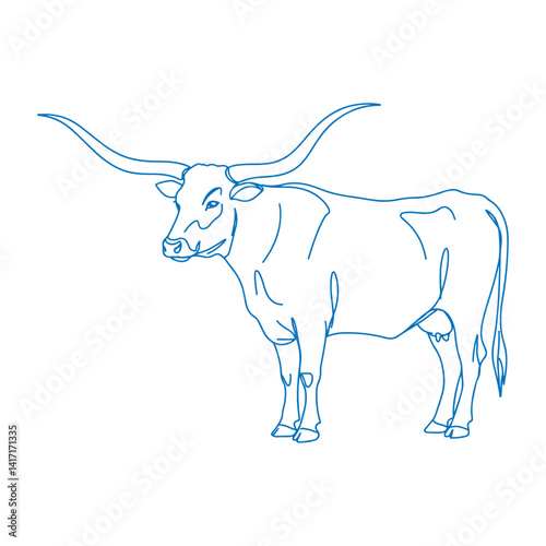 Elegant Blue Line Drawing of a Standing Longhorn Cow with Distinctive Curved Horns in Minimal Vintage Western Farm Style Illustration photo