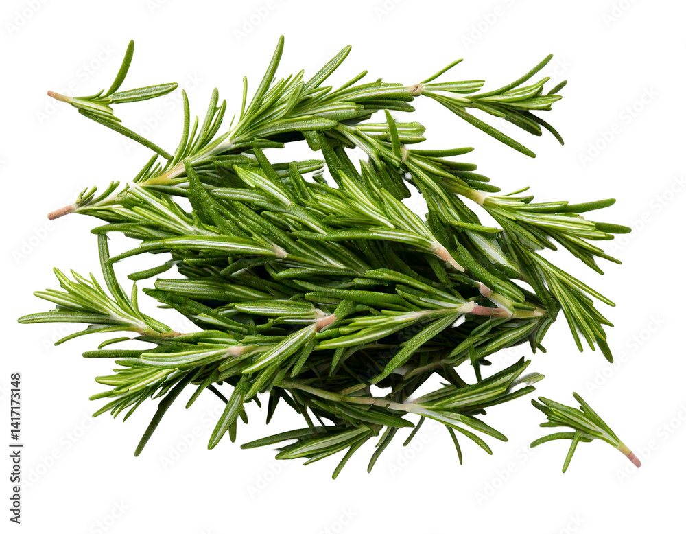 Rosemary isolated on white background, Top view, generative ai Rosemary isolated on white background, Top view, generative ai