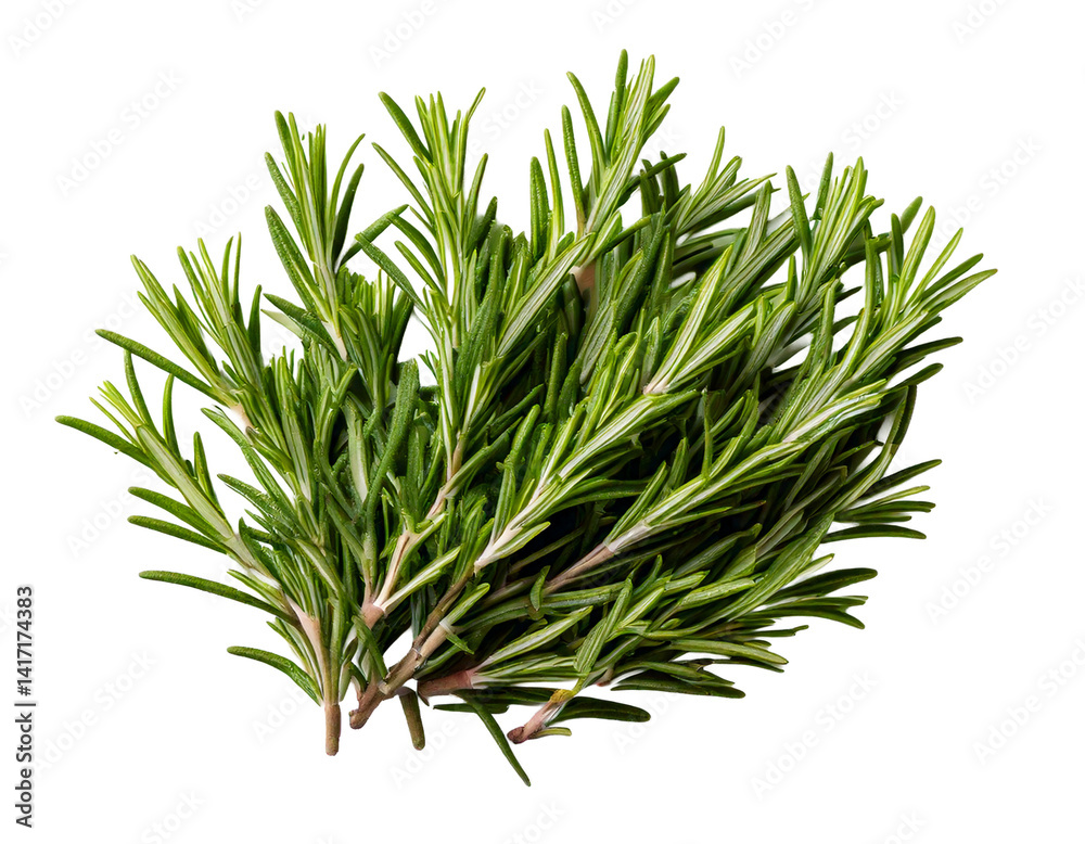 Fototapeta premium Rosemary isolated on white background, Top view, generative ai