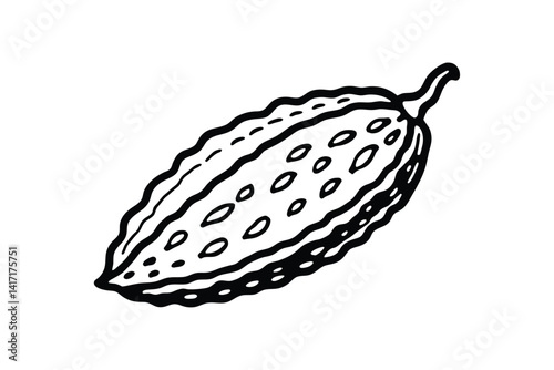 Line art drawing of a bitter melon with bumpy texture and curved form.eps