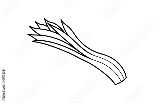 Line art drawing of a leek with long overlapping leaves.eps