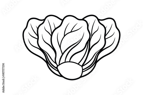 Line art drawing of bok choy with broad and cupped leaves.eps